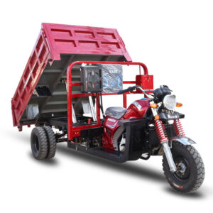 Five wheeled Motorcycle Car Fuel Engine Gasoline Motor Agricultural Petrol Powered Five wheeled vehicle Dump Truck